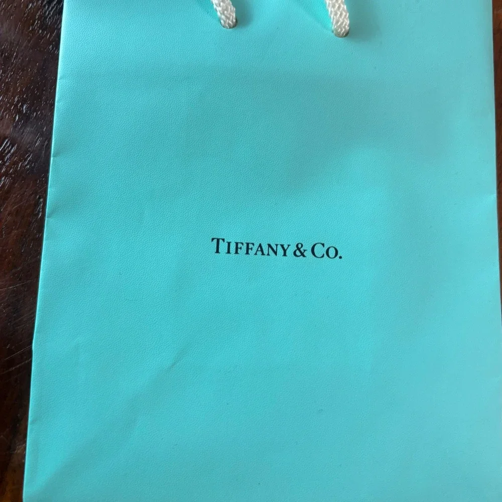Tiffany & Co Mini Shopping Gift Bags Set of 4 Tiffany Blue Rope Handle Small